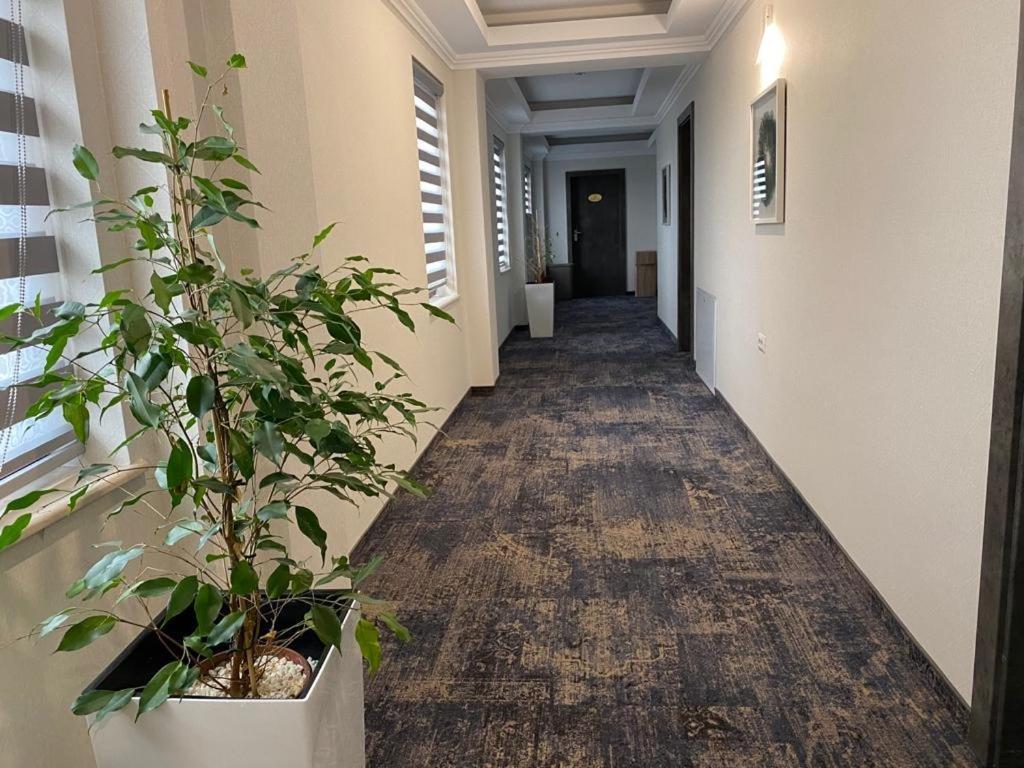 Hotel Yarus Plus Ploieşti Extérieur photo